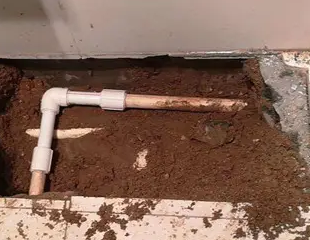 台安测漏水哪家好