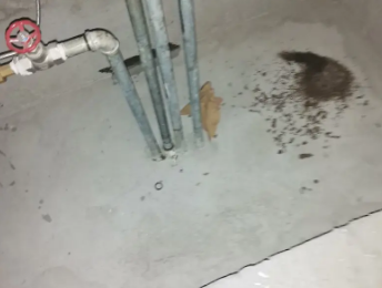 台安卫生间测漏水价格明细